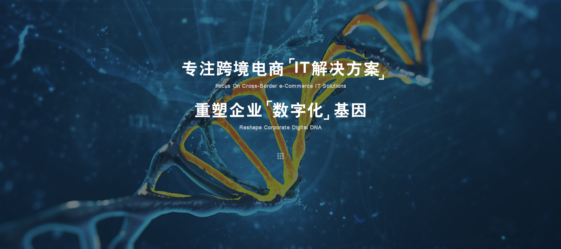 IT解决方案